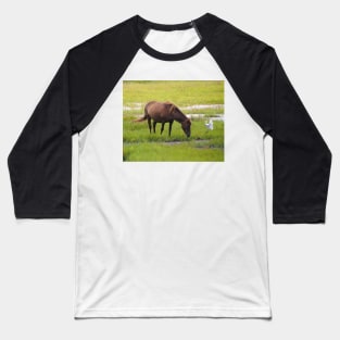 Assateague Pony and Cattle Egret in the Marsh Baseball T-Shirt